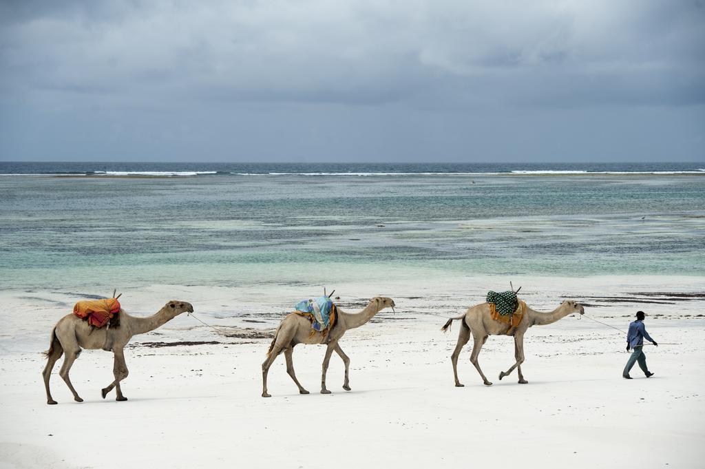 Hotel Diani House Diani Beach Zewnętrze zdjęcie